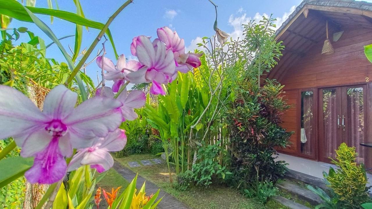 Morning Bali Bungalow Canggu Zewnętrze zdjęcie
