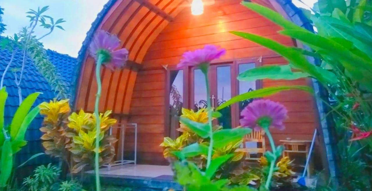 Morning Bali Bungalow Canggu Zewnętrze zdjęcie