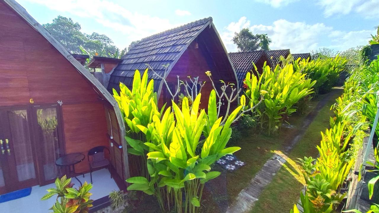 Morning Bali Bungalow Canggu Zewnętrze zdjęcie