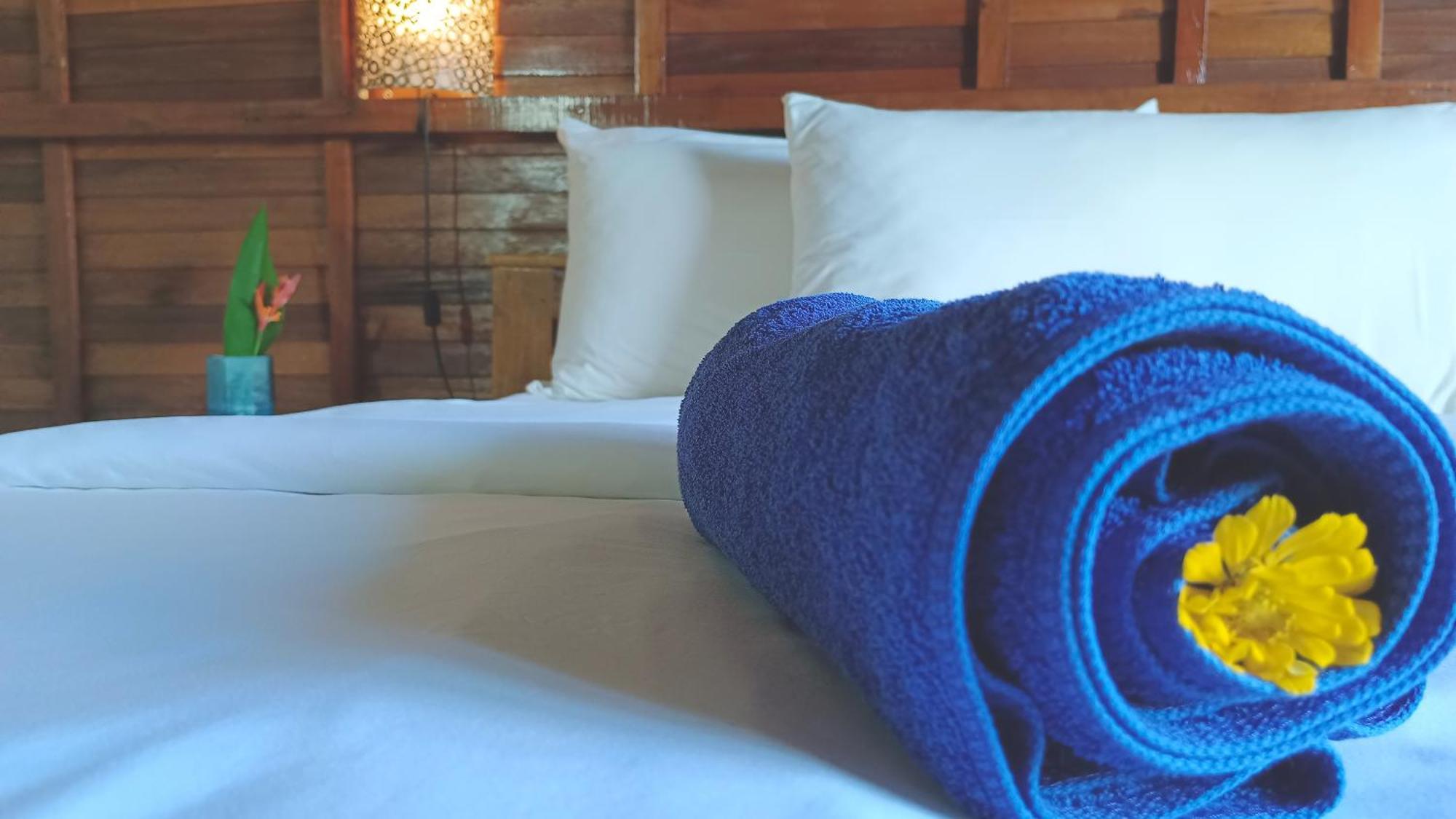 Morning Bali Bungalow Canggu Zewnętrze zdjęcie